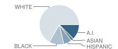 Garfield Elementary School Student Race Distribution