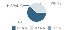 Timber Lake High School Student Race Distribution