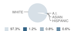 Jefferson Elementary School Student Race Distribution