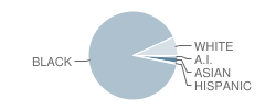 Downtown Elementary School Student Race Distribution