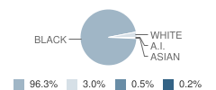 Buena Vista Elementary Enhanced Option School Student Race Distribution