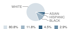 Christiana Middle School Student Race Distribution