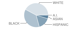 Barkers Mill Elementary School Student Race Distribution