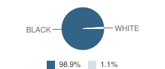 Memphis Academy of Healt Sciences High Student Race Distribution