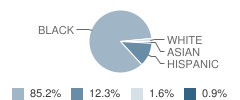 Treadwell Middle School Student Race Distribution