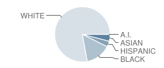 Rockvale Middle School Student Race Distribution