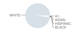 Lake City Elementary School Student Race Distribution