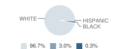 Norwood Elementary School Student Race Distribution