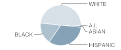 Eakin Primary School Student Race Distribution