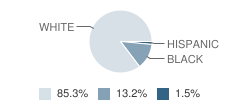 Chester County Junior High School Student Race Distribution