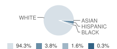 Bridgeport Elementary School Student Race Distribution