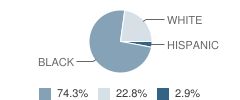 Central Elementary School Student Race Distribution