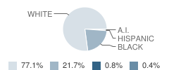 Somerville Elementary School Student Race Distribution