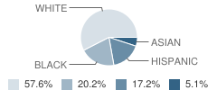 Johnson Elementary School Student Race Distribution