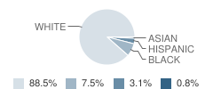 Decherd Elementary School Student Race Distribution