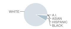 Bradford High School Student Race Distribution