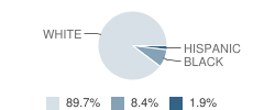 Central Elementary School Student Race Distribution