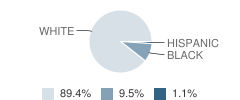 Central High School Student Race Distribution