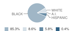 Stigall Middle School Student Race Distribution