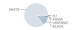 South Doyle High School Student Race Distribution