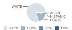 South Doyle Middle School Student Race Distribution