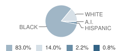 Green Magnet Math and Science Academy Student Race Distribution