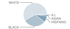 Northwest Middle School Student Race Distribution