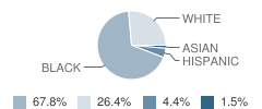 Northeast Middle School Student Race Distribution