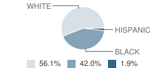 South Elementary School Student Race Distribution