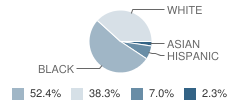 Pope Elementary School Student Race Distribution