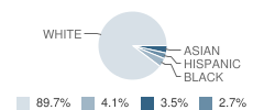 Foothills Elementary School Student Race Distribution