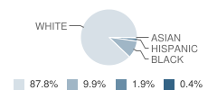 Mcnairy Central High School Student Race Distribution