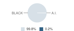 Graceland Elementary School Student Race Distribution