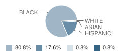 Oakhaven Elementary School Student Race Distribution