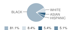 Ridgeway Elementary School Student Race Distribution