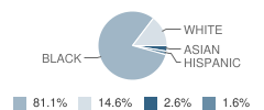 Snowden School Student Race Distribution