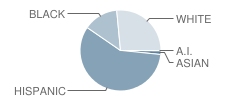 Wells Station Elementary School Student Race Distribution