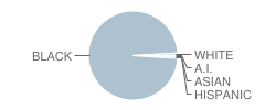 Holmes Road Elementary School Student Race Distribution