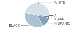 Minglewood Elementary School Student Race Distribution