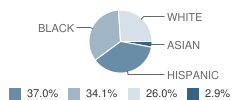 Cameron Middle School Student Race Distribution