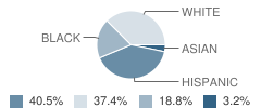 Glencliff Elementary School Student Race Distribution