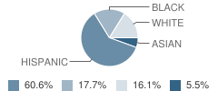 Haywood Elementary School Student Race Distribution