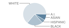 Hume Fogg Magnet High School Student Race Distribution