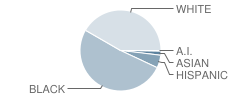 Isaac Litton Middle School Student Race Distribution