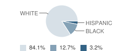 Joelton Elementary School Student Race Distribution