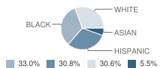 Margaret Allen Montessori Middle Magnet School Student Race Distribution