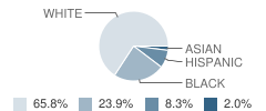 Willow Brook Elementary School Student Race Distribution