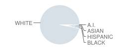 A H Roberts Elementary School Student Race Distribution