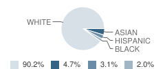 Capshaw Elementary School Student Race Distribution