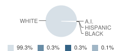 Scott High School Student Race Distribution